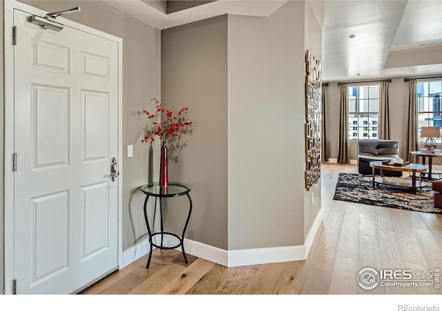 foyer entrance featuring light wood-type flooring