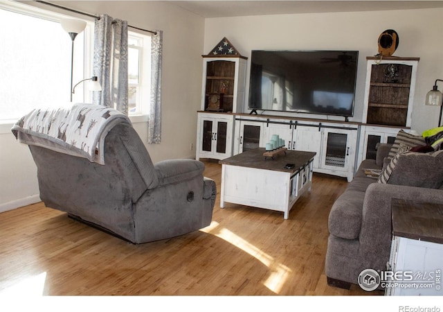 living room with hardwood / wood-style flooring