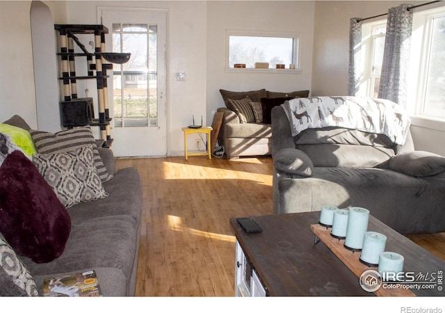 living room featuring light hardwood / wood-style flooring