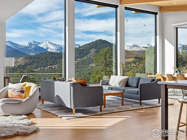 interior space with a mountain view and hardwood / wood-style flooring