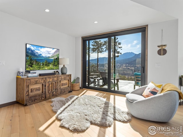 living room with light hardwood / wood-style flooring