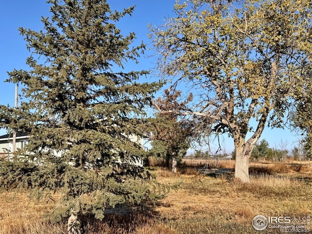 view of local wilderness with a rural view