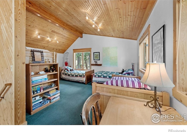 743 Hickory Dr, Lyons, CO 80540 - carpeted bedroom with wooden ceiling, rail lighting, and lofted ceiling