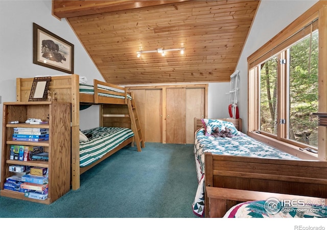 743 Hickory Dr, Lyons, CO 80540 - carpeted bedroom with vaulted ceiling and wood ceiling