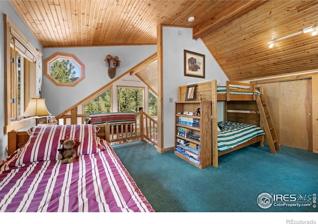 743 Hickory Dr, Lyons, CO 80540 - bedroom with lofted ceiling, wood ceiling, carpet, and access to outside