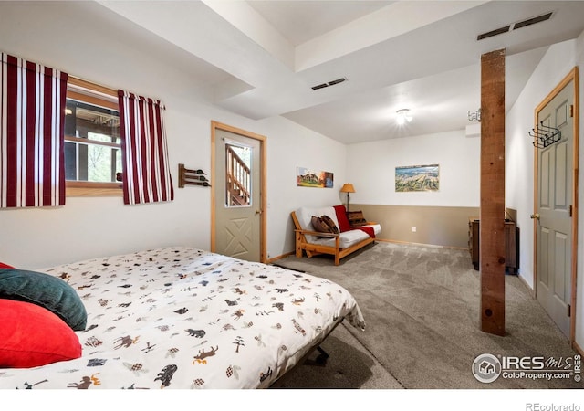 743 Hickory Dr, Lyons, CO 80540 - bedroom with carpet floors and baseboards