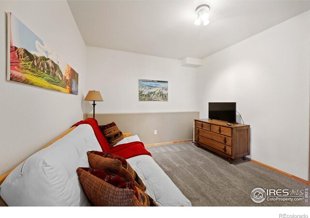 743 Hickory Dr, Lyons, CO 80540 - living area featuring baseboards and carpet flooring