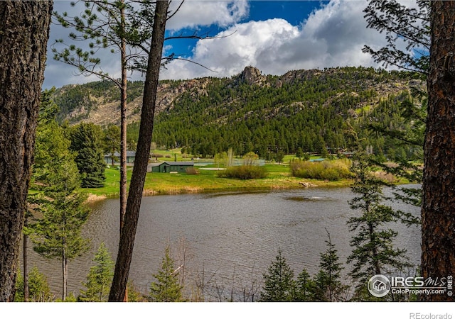743 Hickory Dr, Lyons, CO 80540 - water view featuring a mountainous background and a heavily wooded area