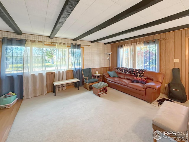 living room with wood walls, carpet, and beamed ceiling