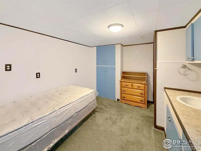 bedroom with light carpet, ornamental molding, and a sink