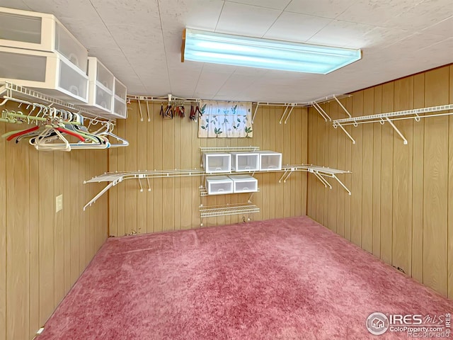 walk in closet featuring carpet flooring