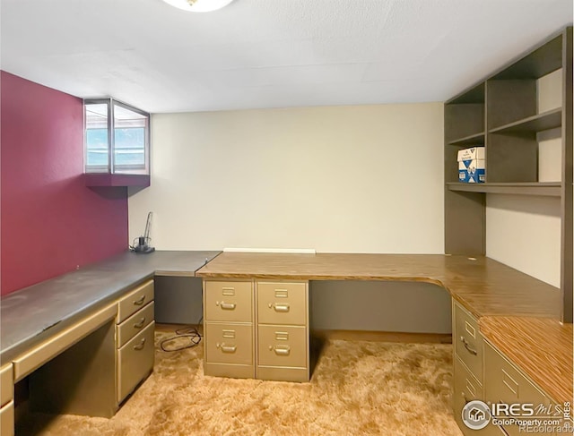 654 W Strohm St, Haxtun, CO 80731 - unfurnished office with built in study area and light colored carpet