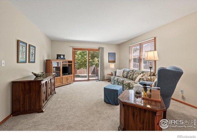 living area featuring baseboards, carpet, and a healthy amount of sunlight