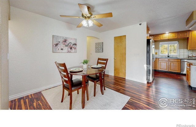 dining space featuring dark hardwood / wood-style flooring, sink, and ceiling fan