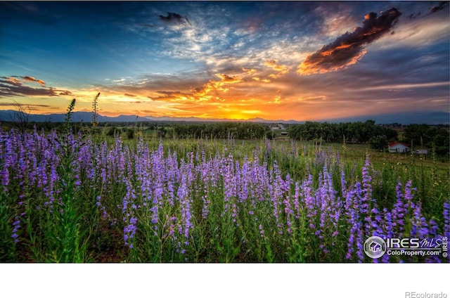 7225 Spring Dr, Boulder, CO 80303