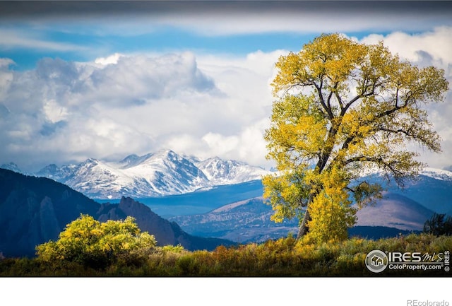 7225 Spring Dr, Boulder, CO 80303