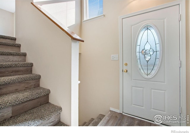 entryway featuring hardwood / wood-style flooring and plenty of natural light