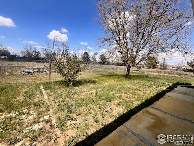 18542 County Road 8, Wiggins, CO 80654 - view of yard