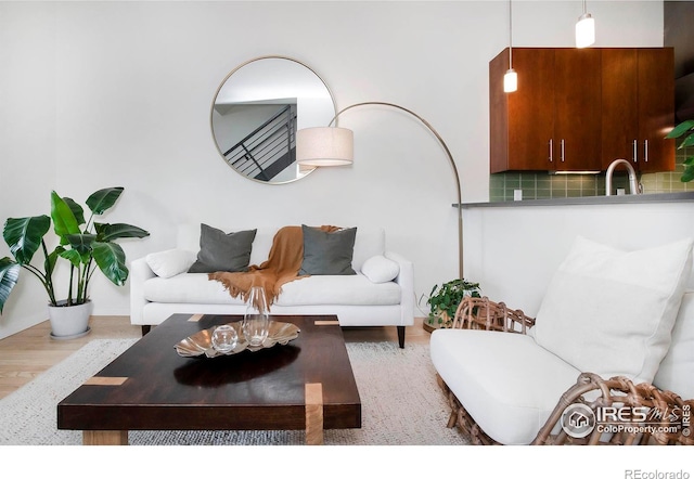 living room with light hardwood / wood-style flooring