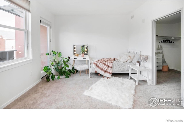 carpeted bedroom with a spacious closet