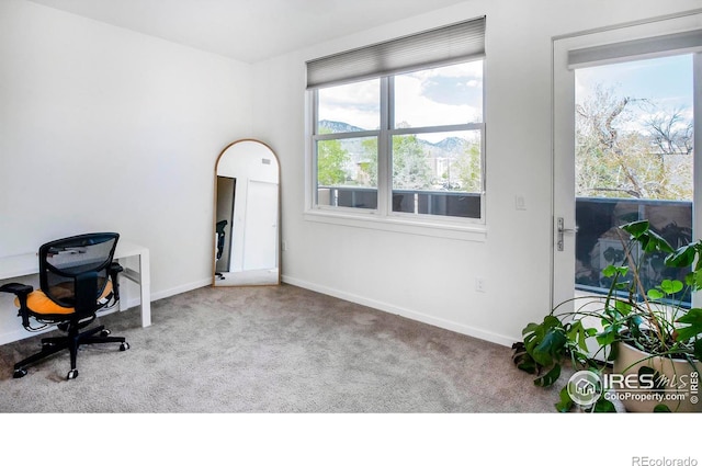 office area with light colored carpet