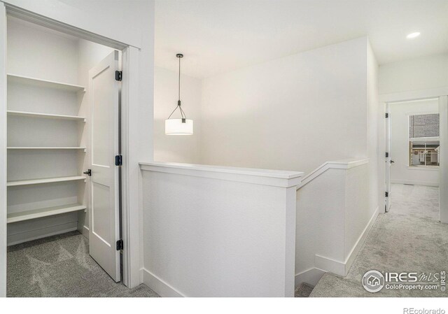 5081 Zamara St, Loveland, CO 80538 - photo 10
