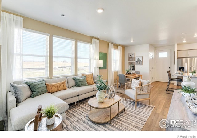 living room featuring light hardwood / wood-style flooring