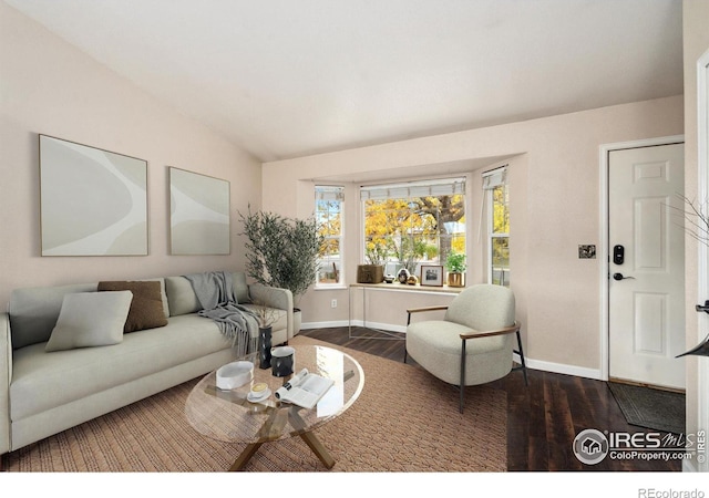 living room with dark wood-type flooring and vaulted ceiling