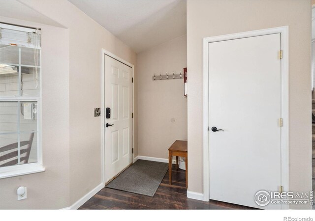 entryway with dark wood-type flooring