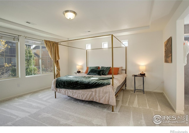 185 Pipit Lake Way, Erie, CO 80516 - carpeted bedroom with baseboards