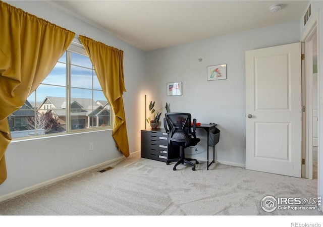 office area featuring carpet floors