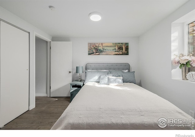 bedroom featuring dark hardwood / wood-style floors