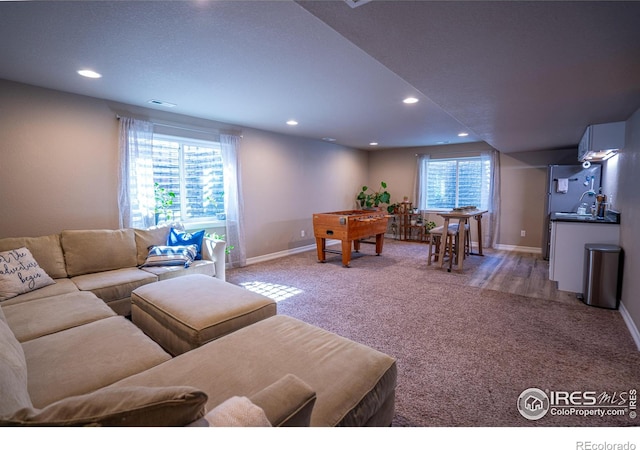 living room featuring a wealth of natural light and carpet