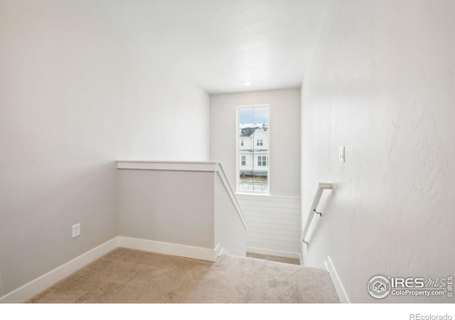 stairway featuring carpet floors