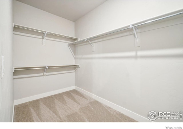 spacious closet with carpet floors