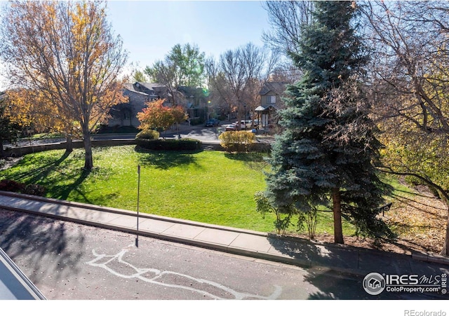818 S Terry St Unit 85, Longmont, CO 80501 - view of green lawn