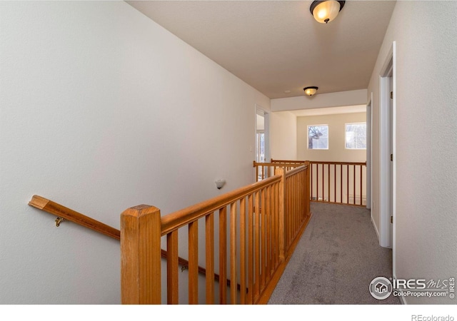 818 S Terry St Unit 85, Longmont, CO 80501 - hallway featuring carpet and an upstairs landing