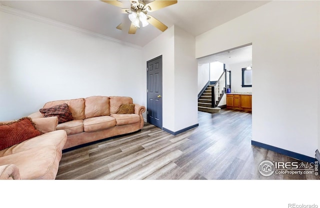 living room with crown molding, ceiling fan, and wood-type flooring