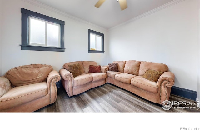 living room featuring crown molding, wood-type flooring, and ceiling fan