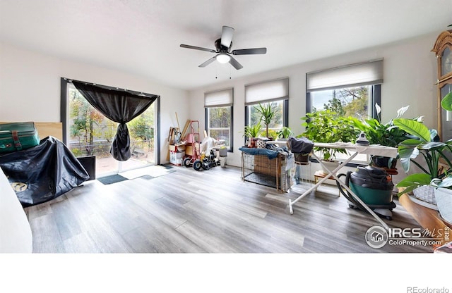 interior space featuring a wealth of natural light, ceiling fan, and light wood-type flooring