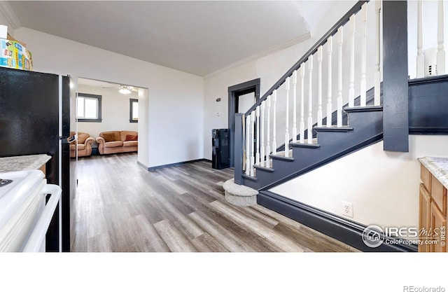 interior space with wood-type flooring and ornamental molding