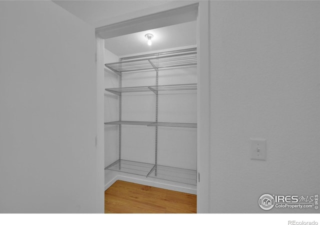 spacious closet featuring hardwood / wood-style floors