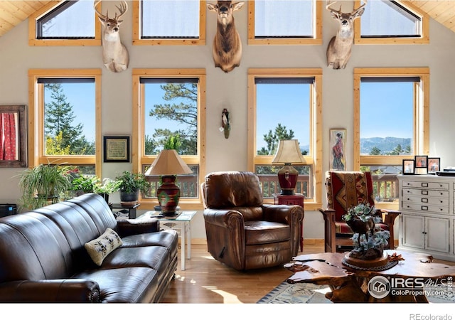 living room with high vaulted ceiling, a wealth of natural light, and wooden ceiling