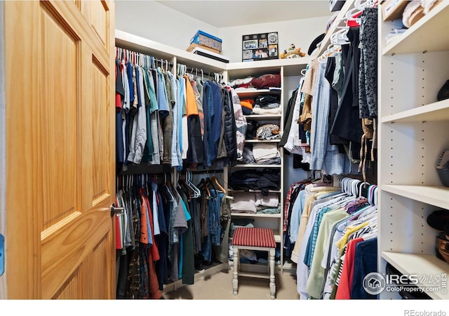 walk in closet featuring light carpet