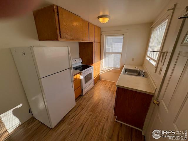 kitchen featuring sink, white appliances, and light wood-type flooring