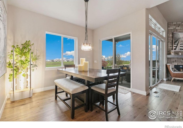 dining room with plenty of natural light and hardwood / wood-style flooring