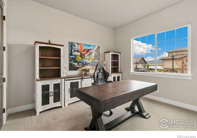 office featuring light colored carpet