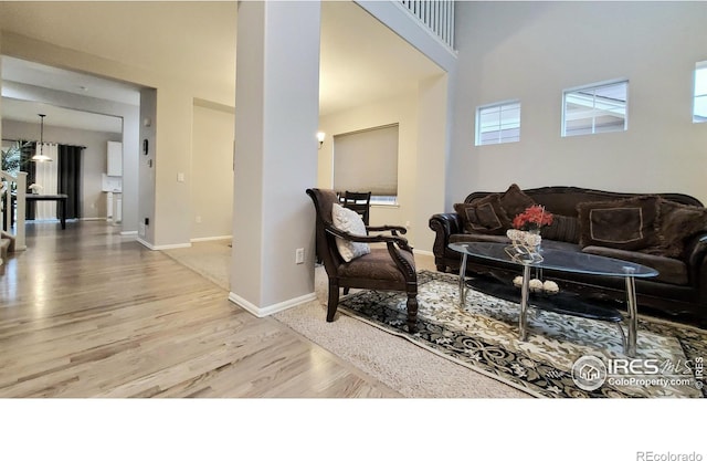 living room featuring light hardwood / wood-style flooring