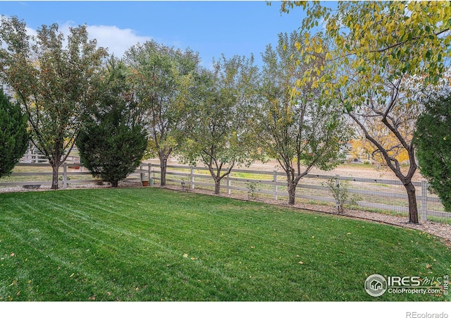 view of yard featuring a rural view