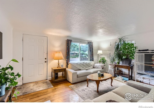 1127 W Mulberry St, Fort Collins, CO 80521 - photo 3